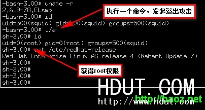 Www.Hdut.Com