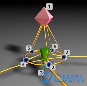 www.hdut.com